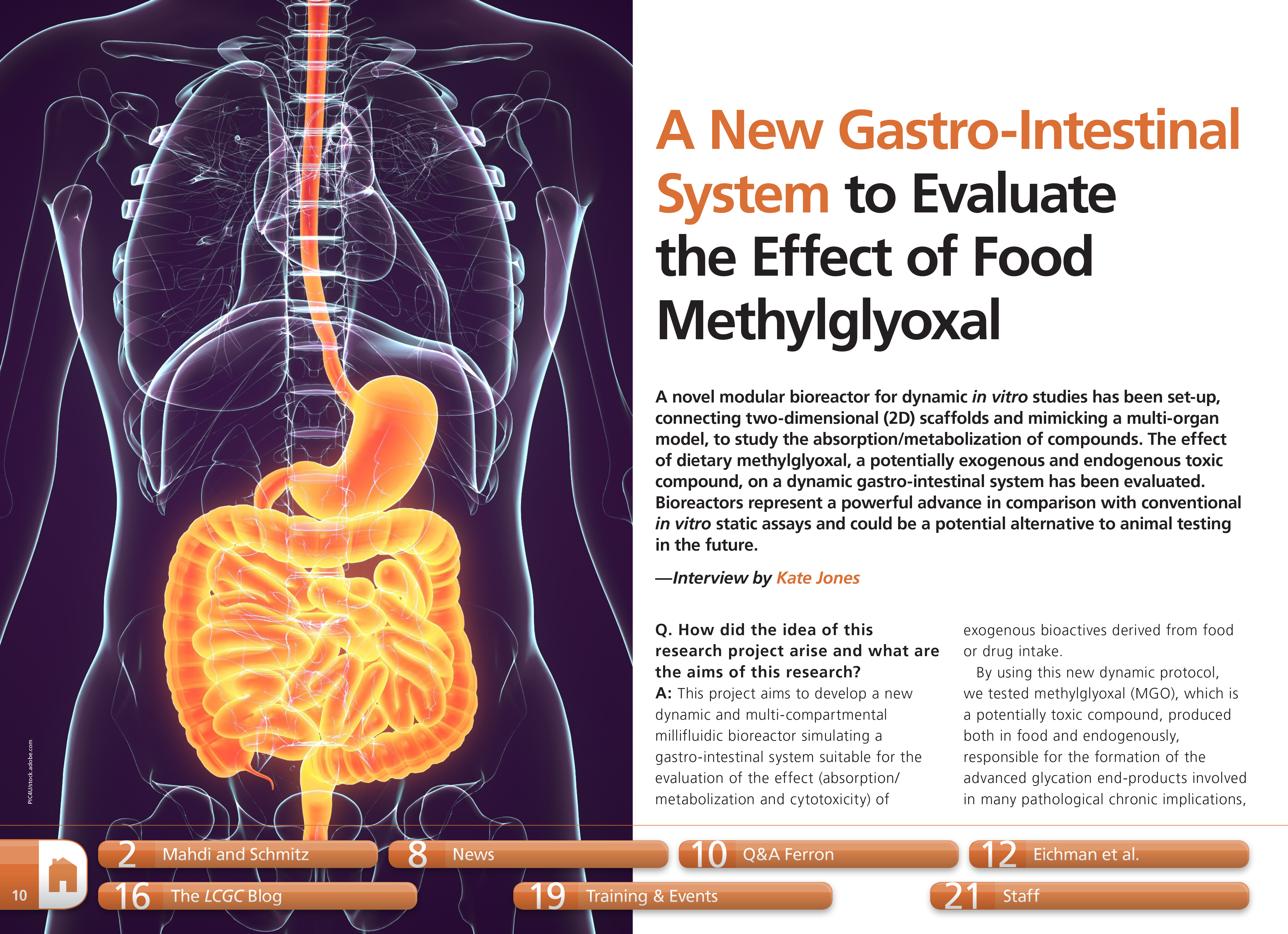 A New Gastro-Intestinal System to Evaluate the Effect of Food Methylglyoxal 